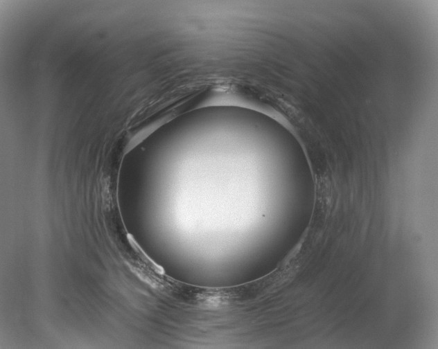 X0000078240564200611101038