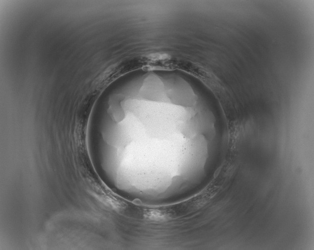 X0000078240565200611101038