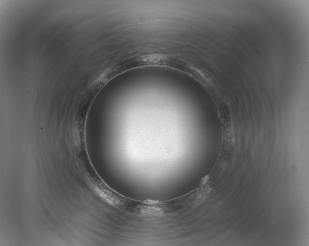 X0000078240572200611101038