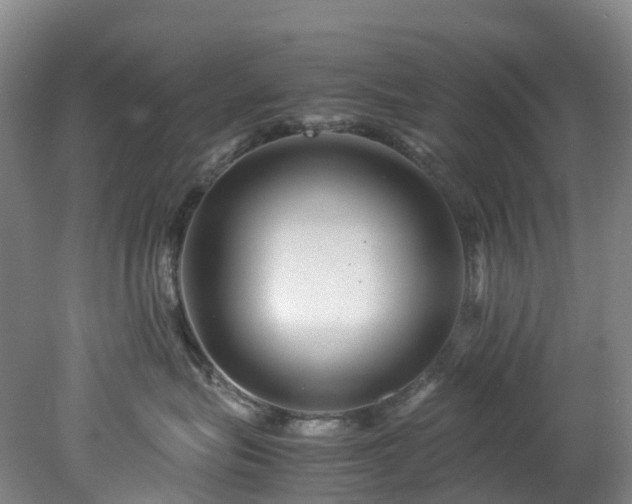 X0000078240575200611101038