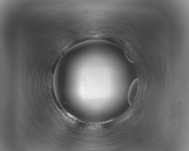 X0000078240576200611101038
