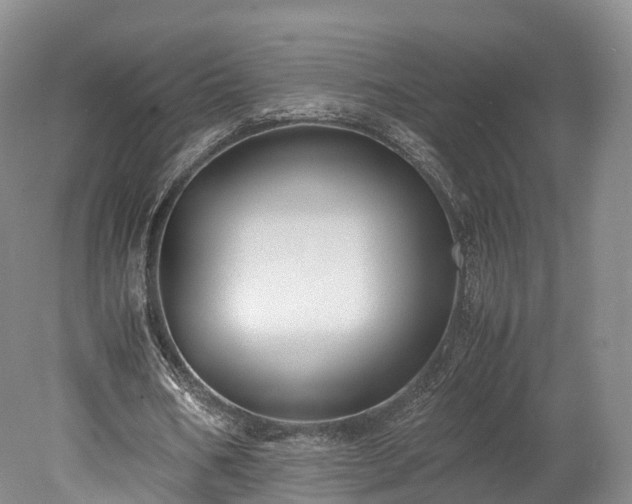 X0000078240578200611101038