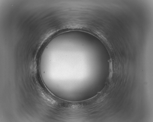 X0000078240584200611101038