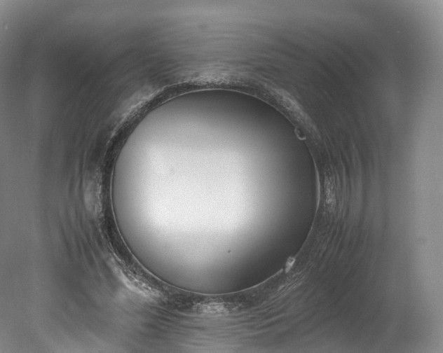 X0000078240588200611101037