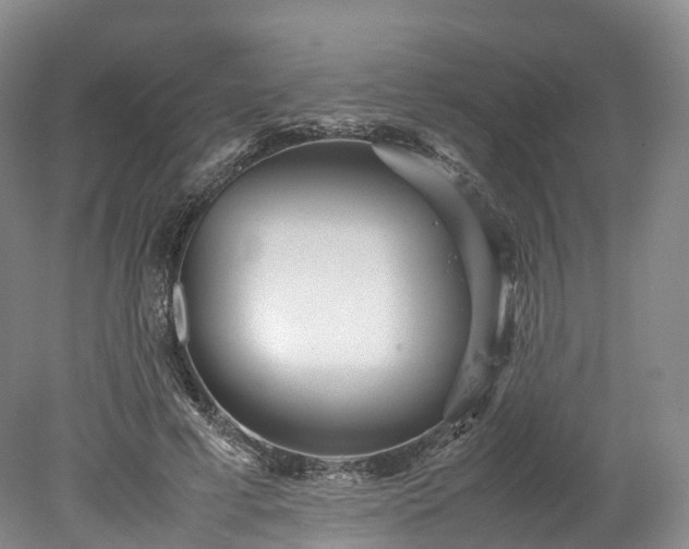 X0000078240593200611101037