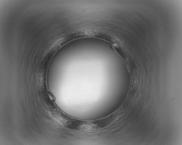 X0000078240595200611101037