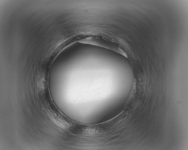 X0000078240596200611101037