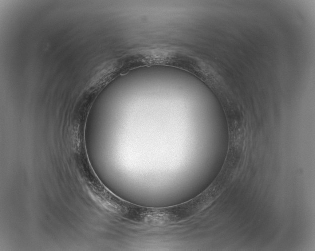 X0000078240599200611101037