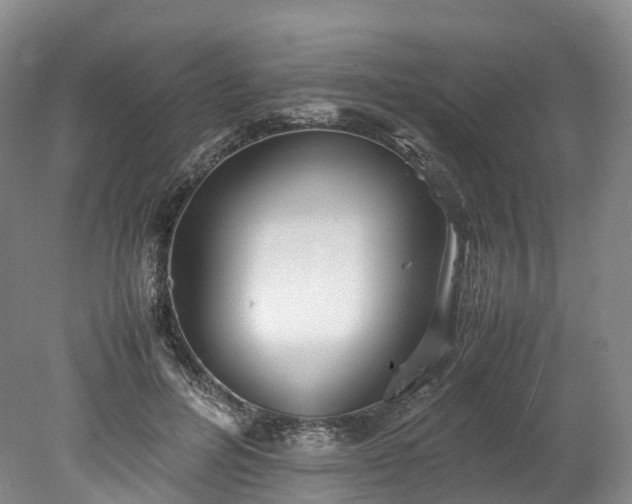 X0000078240600200611101037
