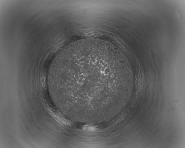 X0000078240602200611101037