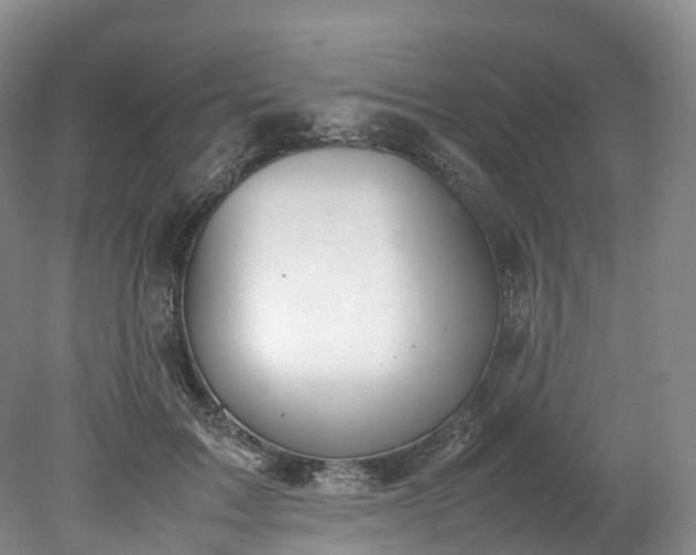 X0000078240603200611101037