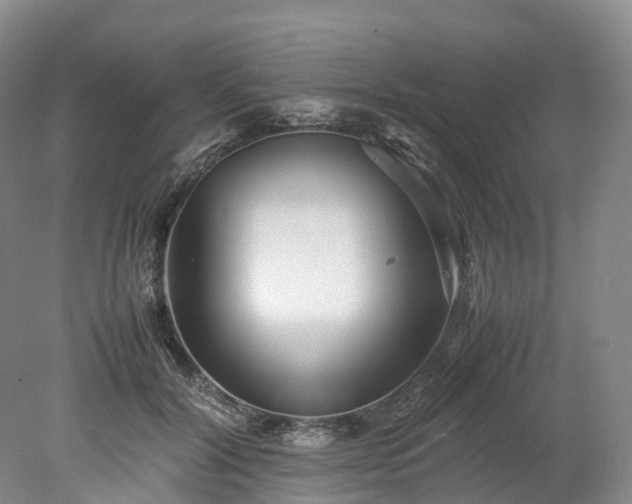 X0000078240604200611101037