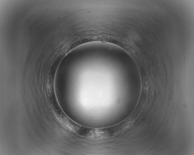 X0000078240607200611101037