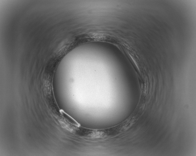 X0000078240609200611101037