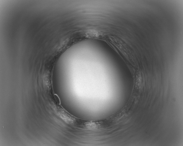 X0000078240616200611101037