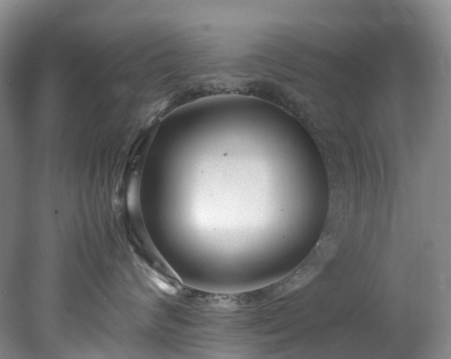 X0000078240624200611101037