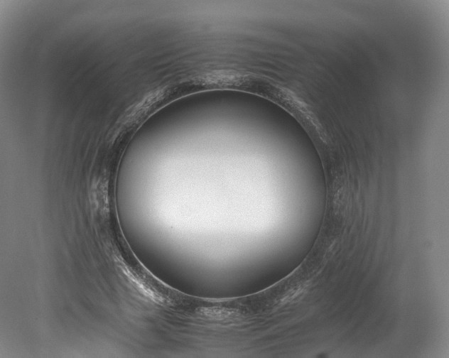 X0000078240633200611101036