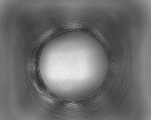 X0000078240635200611101036
