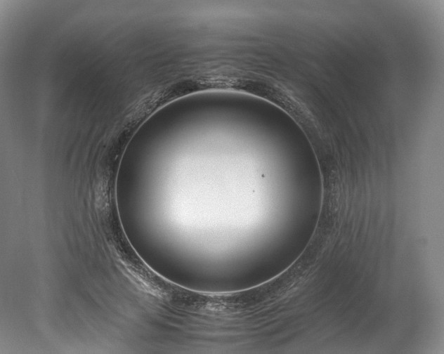 X0000078240641200611101036