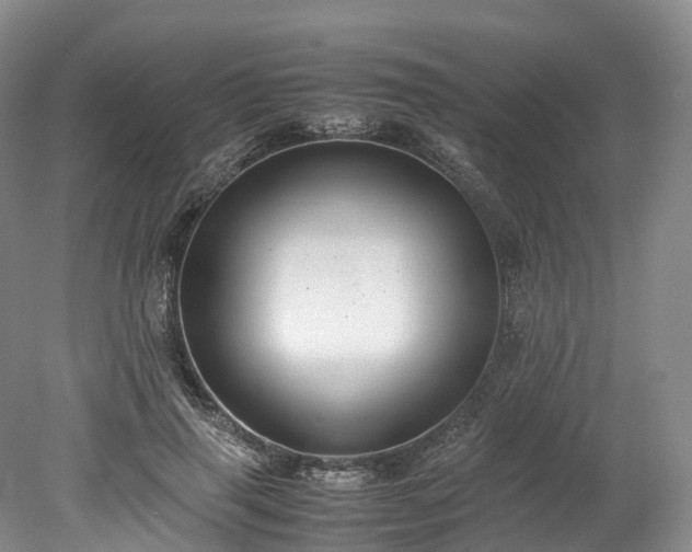 X0000078240645200611101036