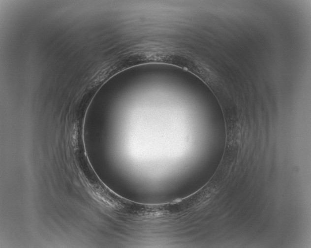 X0000078240646200611101036