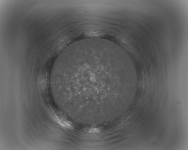 X0000078240647200611101036