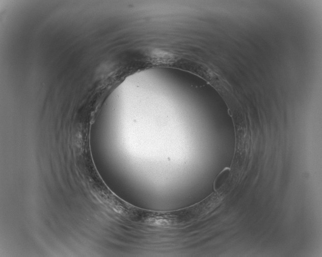 X0000078240655200611101037