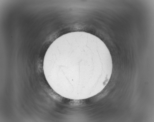 X0000078240672200611101037