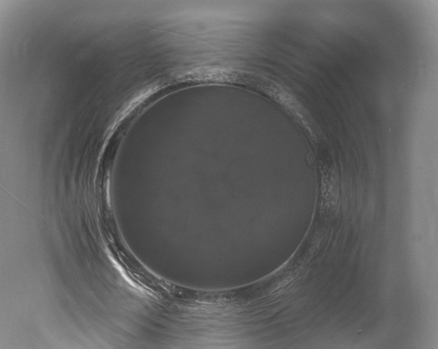 X0000078240674200611101036