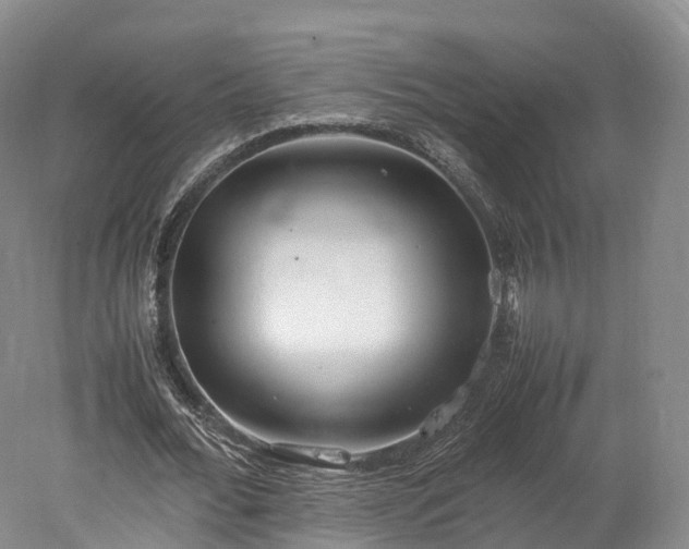 X0000078240676200611101036