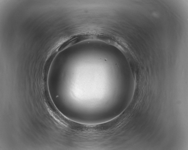 X0000078240677200611101036
