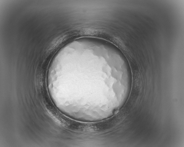 X0000078240683200611101036