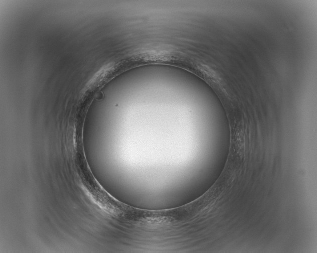 X0000078240686200611101036