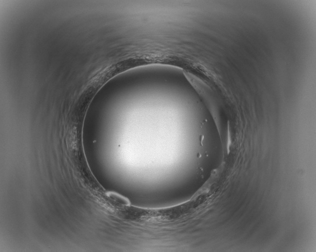 X0000078240689200611101036