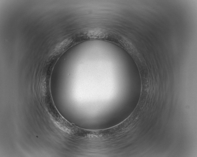 X0000078240690200611101036