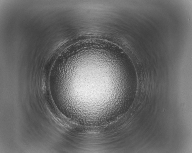 X0000078240692200611101036