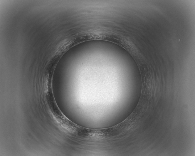 X0000078240694200611101036