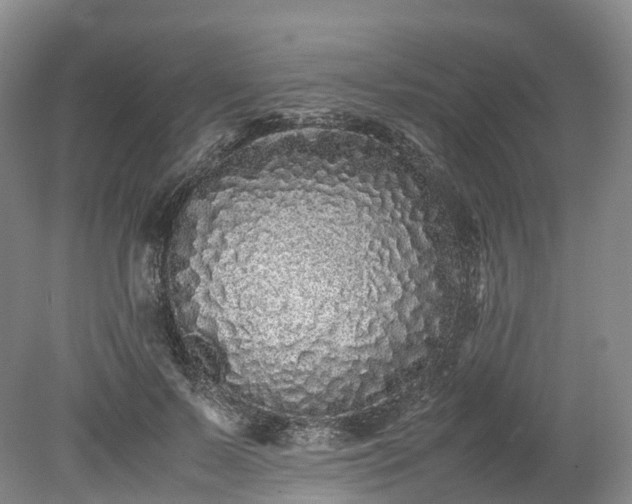 X0000078240695200611101036