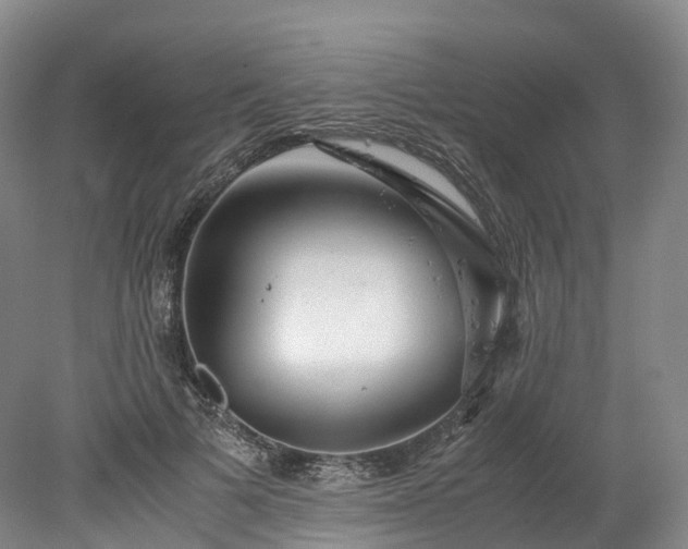 X0000078240697200611101036
