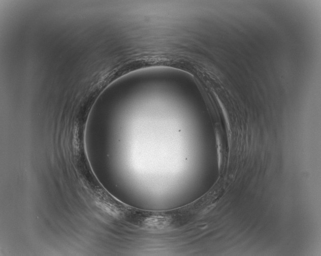 X0000078240700200611101036