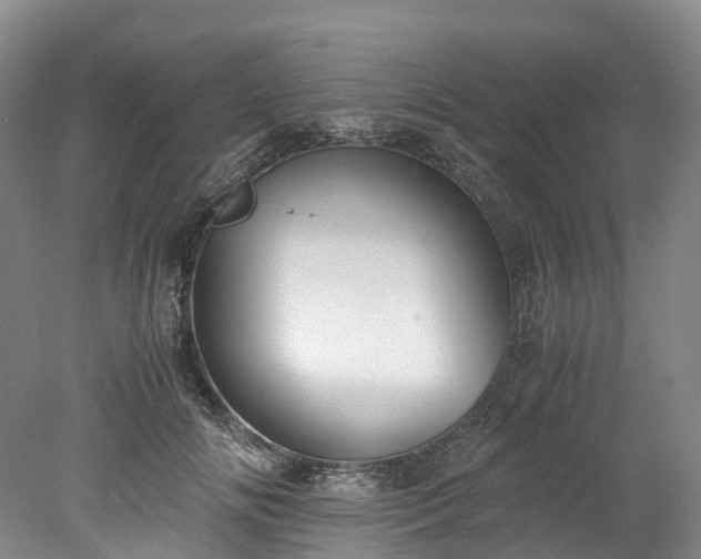X0000078240702200611101036