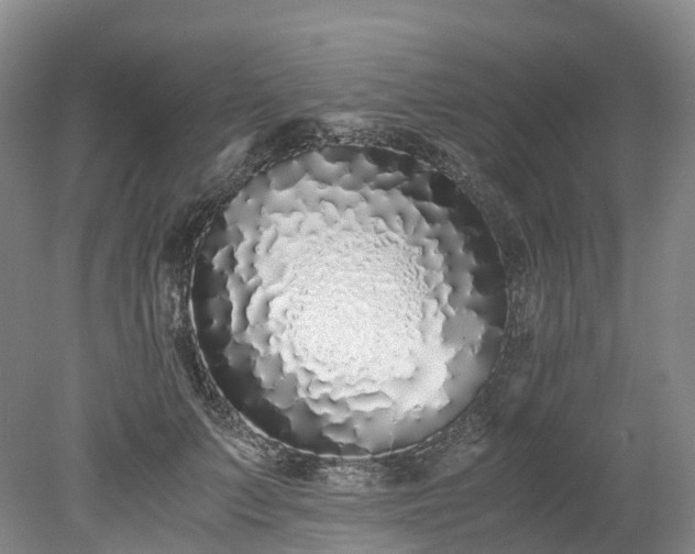 X0000078240703200611101036