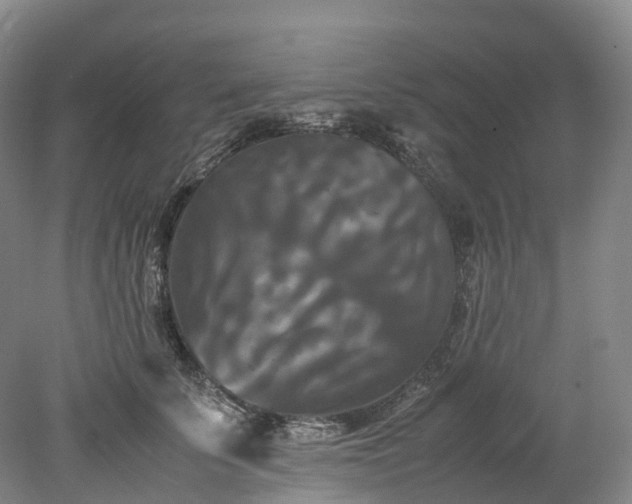 X0000078240707200611101035
