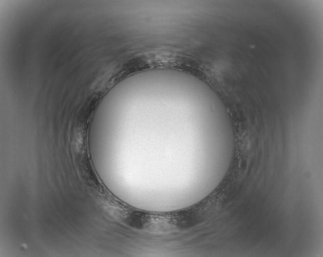 X0000078240709200611101035