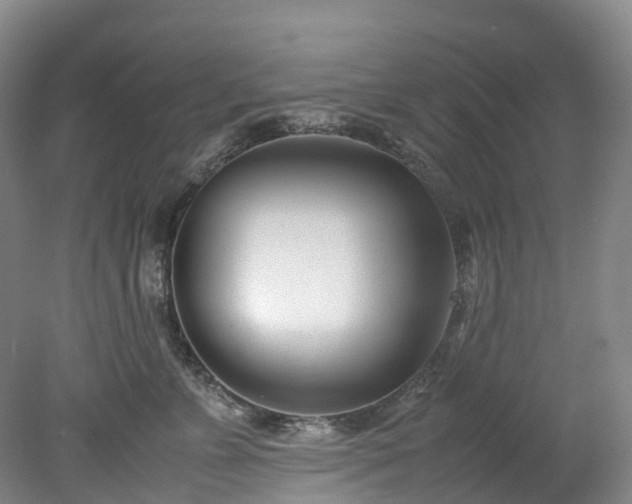 X0000078240715200611101035