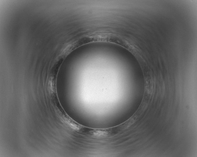 X0000078240718200611101035