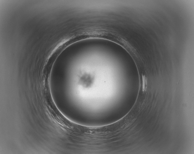 X0000078240723200611101034