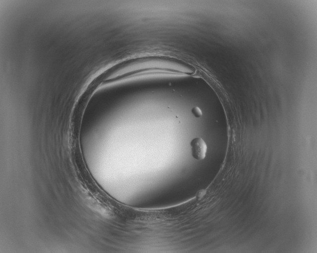X0000078240724200611101034