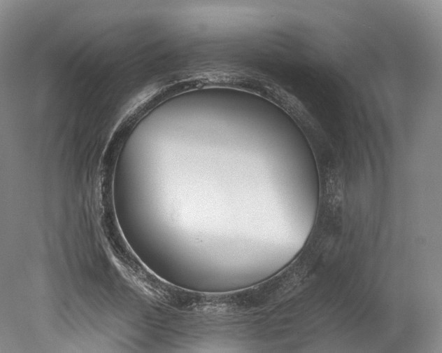 X0000078240730200611101035