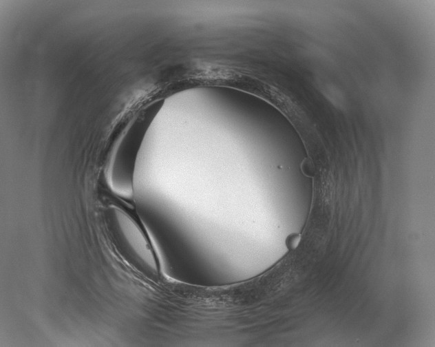 X0000078240731200611101035